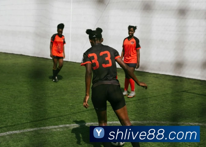 盛煌娱乐官网品牌故事