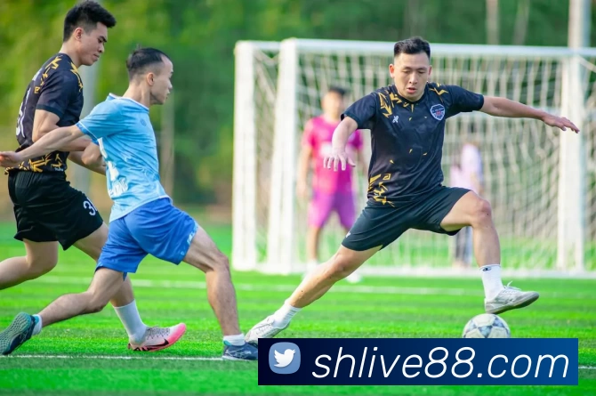 盛煌娱乐官网服务体系