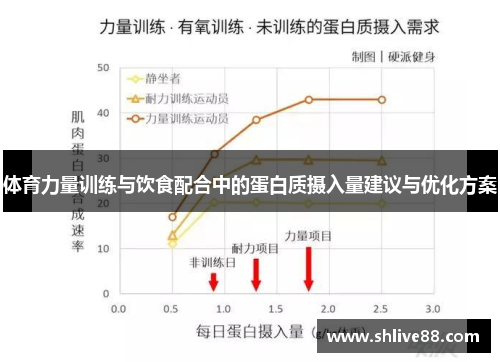 体育力量训练与饮食配合中的蛋白质摄入量建议与优化方案